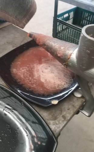 Cópia de WhatsApp Image 2025-10-27 at 15.17.41